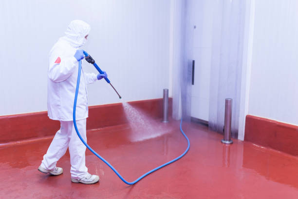 Best Sidewalk and Walkway Cleaning  in Victory Lakes, NJ